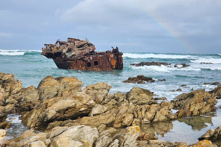 Cape Agulhas Day Trip: Whales, Penguins & Wine from Cape Town photo 5