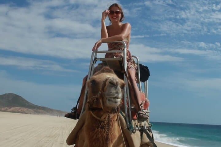 Camel Ride on Cabo Pacific Beach: Coastal Camelback Adventure photo 3