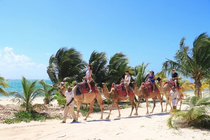 Camel Ride on Cabo Pacific Beach: Coastal Camelback Adventure photo 5