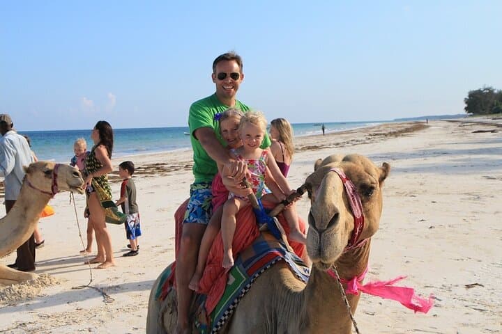 Camel Ride on Cabo Pacific Beach: Coastal Camelback Adventure photo 2