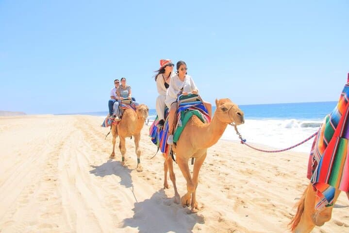 Camel Ride on Cabo Pacific Beach: Coastal Camelback Adventure
