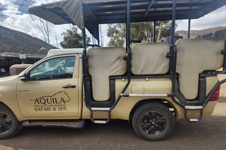Aquila Big Five Day Safari from Cape Town: Game Drives, Lunch & Transport photo 5