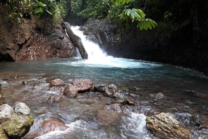 Rainmaker Park Hike and Hanging Bridges: Quepos Primary Forest Tour