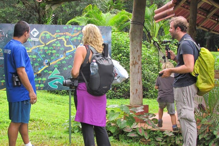 Rainmaker Park Hike and Hanging Bridges: Quepos Primary Forest Tour photo 2
