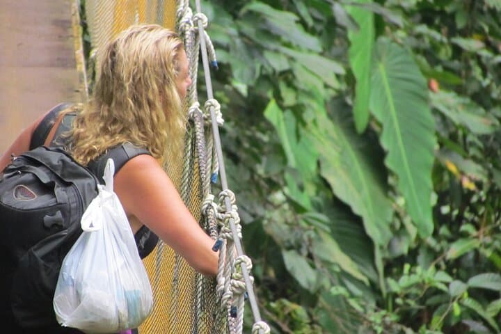 Rainmaker Park Hike and Hanging Bridges: Quepos Primary Forest Tour photo 6