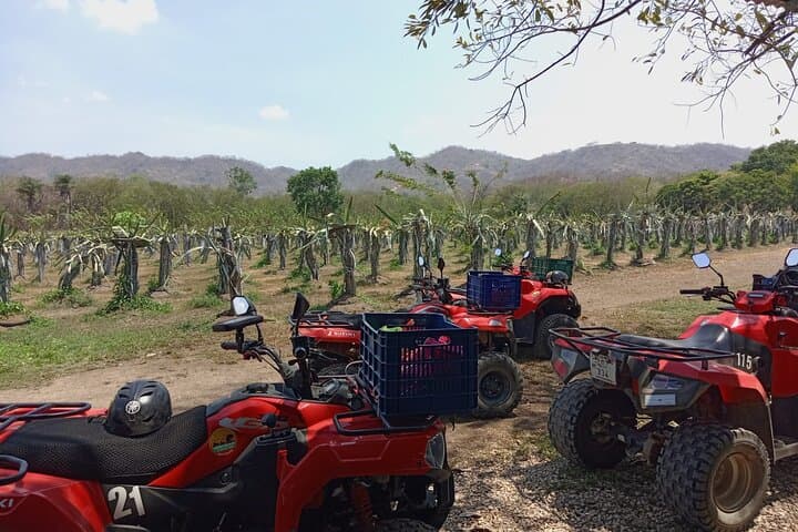 ATV Adventure in Potrero, Guanacaste — Ride Through Tempate Farms & Rainforest photo 5