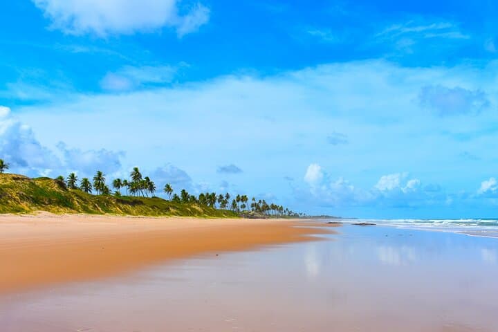 Massarandupio Beach Daytrip from Salvador — Quiet Beaches & Coastal Swimming photo 3