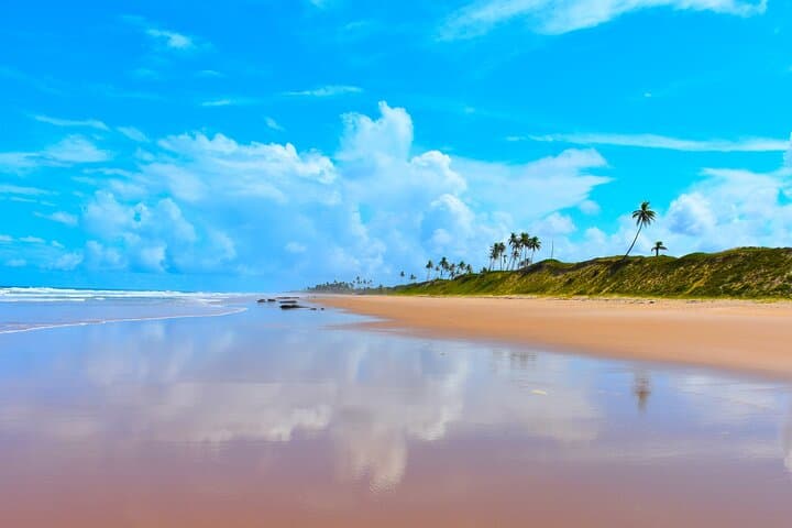 Massarandupio Beach Daytrip from Salvador — Quiet Beaches & Coastal Swimming
