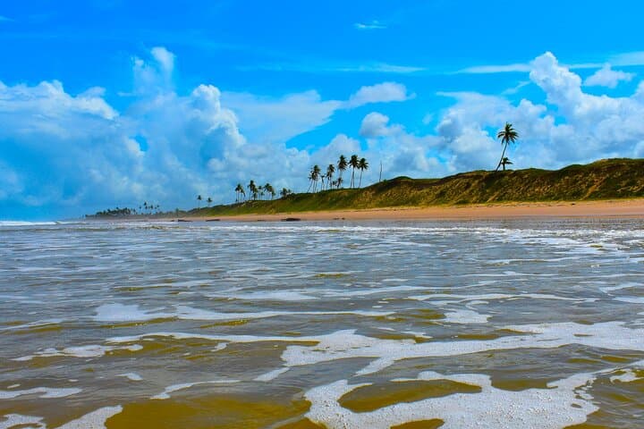 Massarandupio Beach Daytrip from Salvador — Quiet Beaches & Coastal Swimming photo 6
