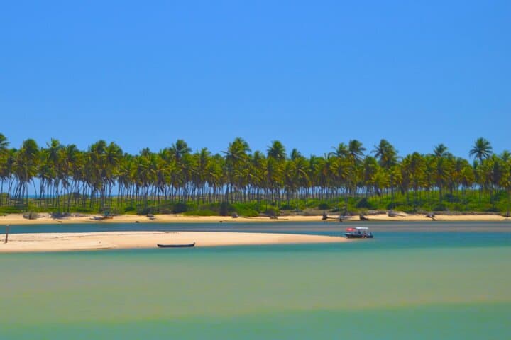 Praia do Forte SUV Beach Hopping on the Coconut Coast — Private 8‑Hour Coastal Tour