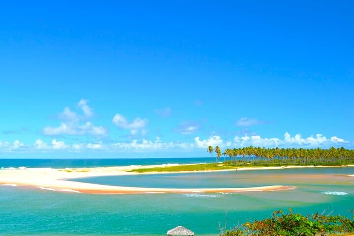 Coconut Coast Day Tour: Praia do Forte & Jacuípe Beach with TAMAR Visit photo 5