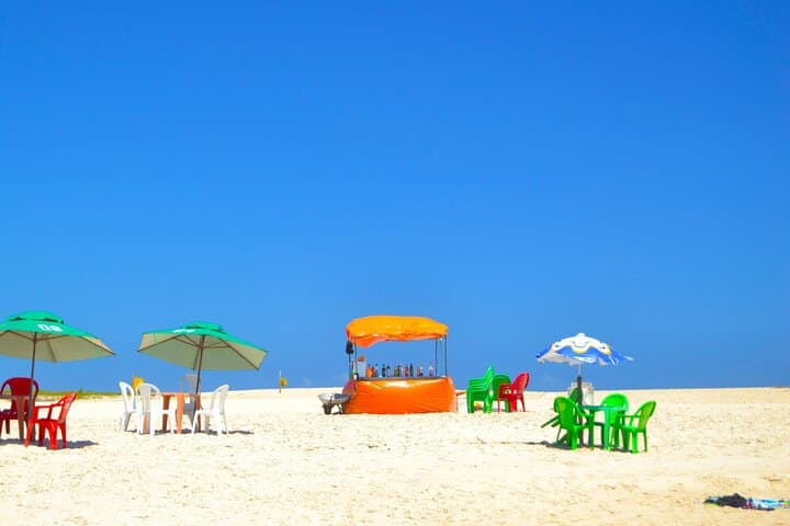 Coconut Coast Day Tour: Praia do Forte & Jacuípe Beach with TAMAR Visit