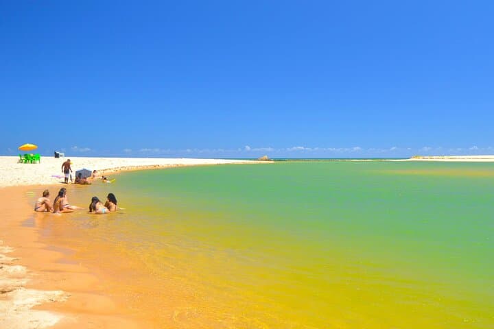 Coconut Coast Day Tour: Praia do Forte & Jacuípe Beach with TAMAR Visit photo 2