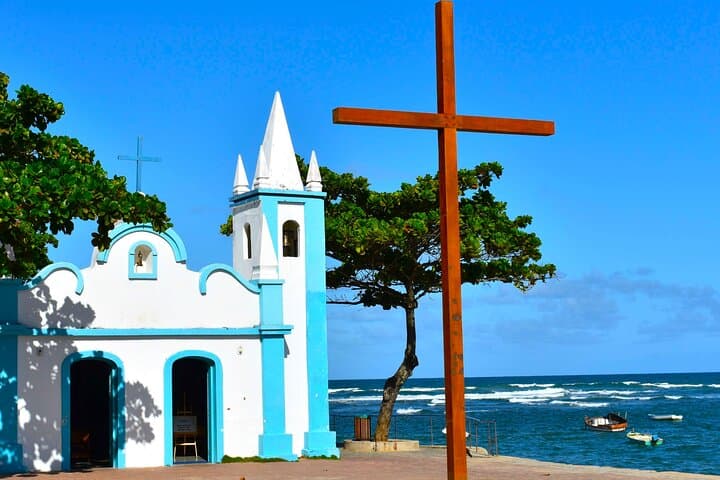 Praia do Forte Beach Daytour — Explore Bahia’s Coconut Coast photo 4