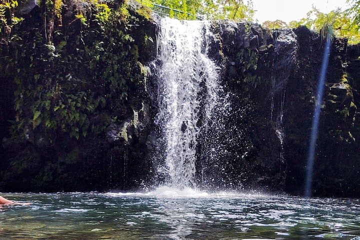 Halfway to Hana: 6.5-Hour Tour to Black Sand Beaches, Waterfalls & Turtles photo 1