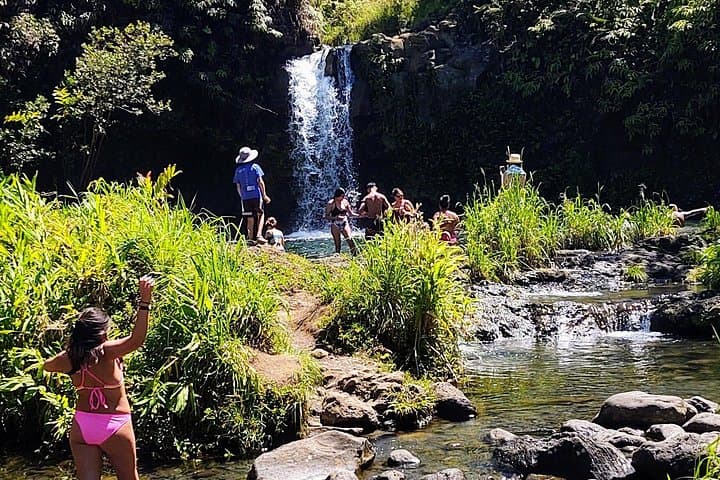 Halfway to Hana: 6.5-Hour Tour to Black Sand Beaches, Waterfalls & Turtles photo 3