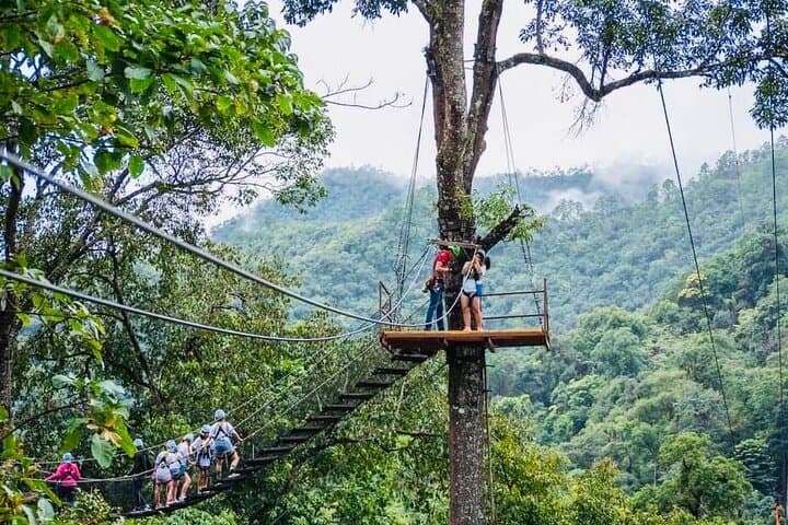 Kingkong Smile Zipline & Bua Thong Sticky Waterfall — Chiang Mai Extreme Zipline Private Tour