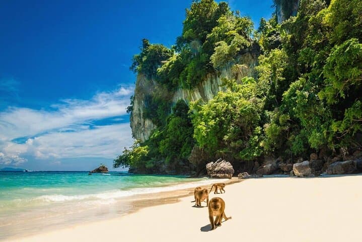 Phi Phi Islands Speedboat Snorkel, Swim & Paddleboard from Phuket photo 4
