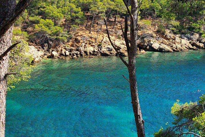 Private Day Trip St Cyr to Cassis — Secret Coves, Snorkel & Route des Crêtes photo 4