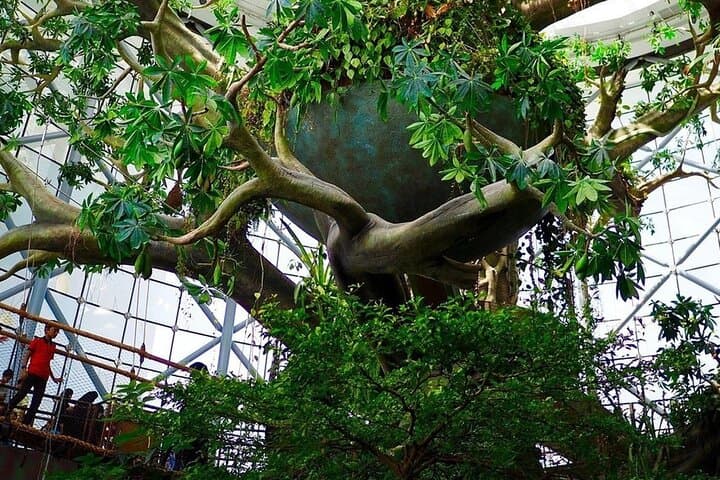 Inside The Green Planet Dubai: A Tropical Bio-Dome Experience at City Walk