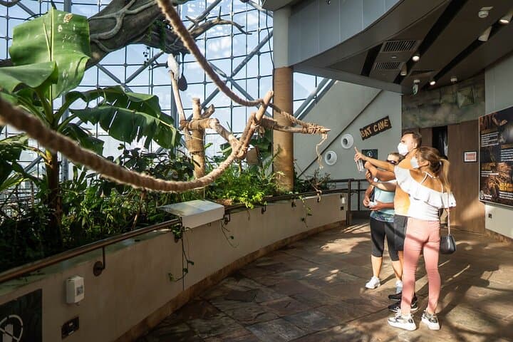 Inside The Green Planet Dubai: A Tropical Bio-Dome Experience at City Walk photo 3