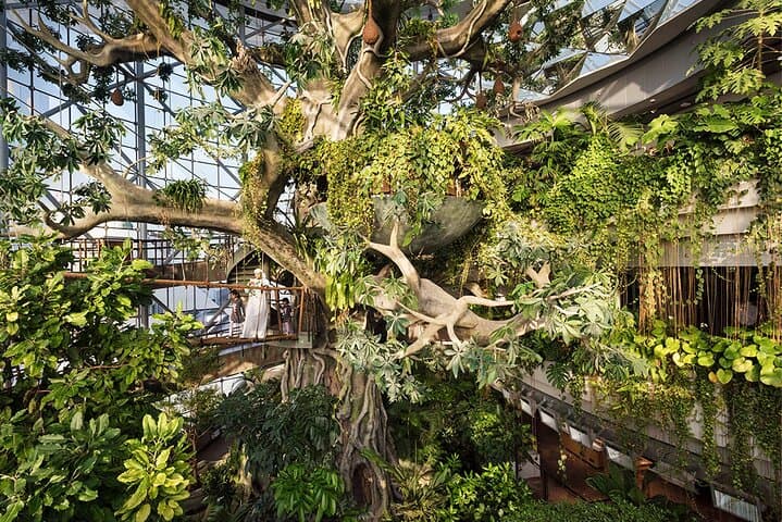 Inside The Green Planet Dubai: A Tropical Bio-Dome Experience at City Walk photo 4