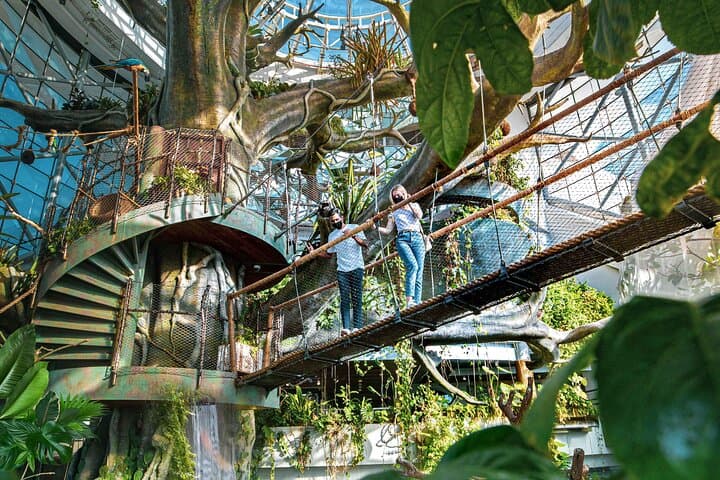 Inside The Green Planet Dubai: A Tropical Bio-Dome Experience at City Walk photo 5