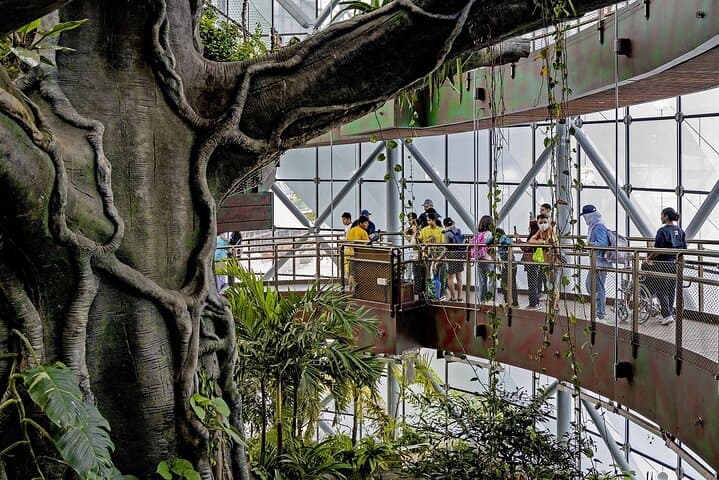 Inside The Green Planet Dubai: A Tropical Bio-Dome Experience at City Walk photo 6