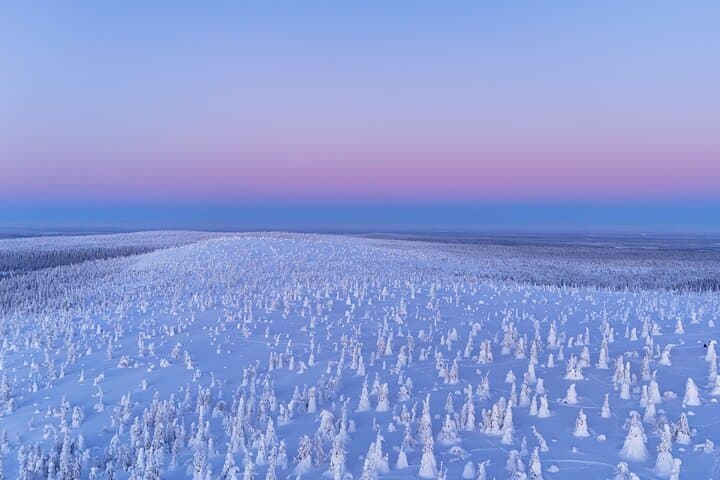 3-Hour Private Snowmobile Experience in Rovaniemi photo 5