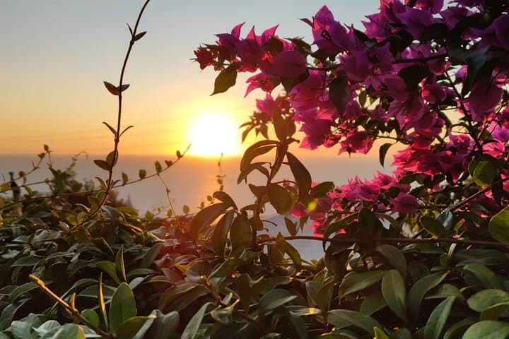 Sunset E-Bike Tour Along the Sorrento Peninsula with Capri Views photo 2