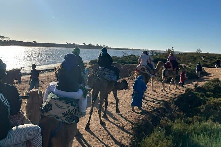Agadir Camel Rides Along Souss Massa: Flamingo River, Mint Tea & Cakes photo 2
