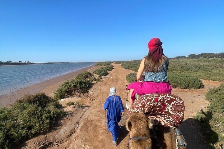 Agadir Camel Rides Along Souss Massa: Flamingo River, Mint Tea & Cakes photo 3