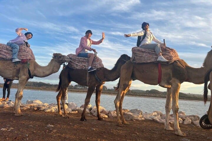 Agadir Camel Rides Along Souss Massa: Flamingo River, Mint Tea & Cakes photo 4