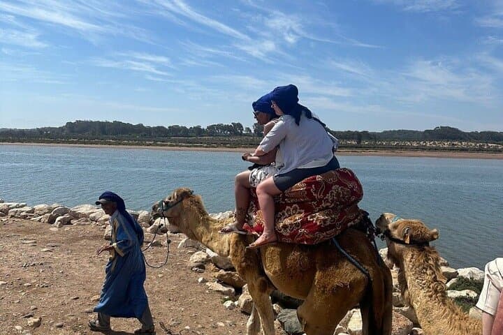 Agadir Camel Rides Along Souss Massa: Flamingo River, Mint Tea & Cakes photo 5