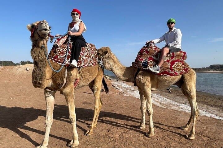 Agadir Camel Rides Along Souss Massa: Flamingo River, Mint Tea & Cakes