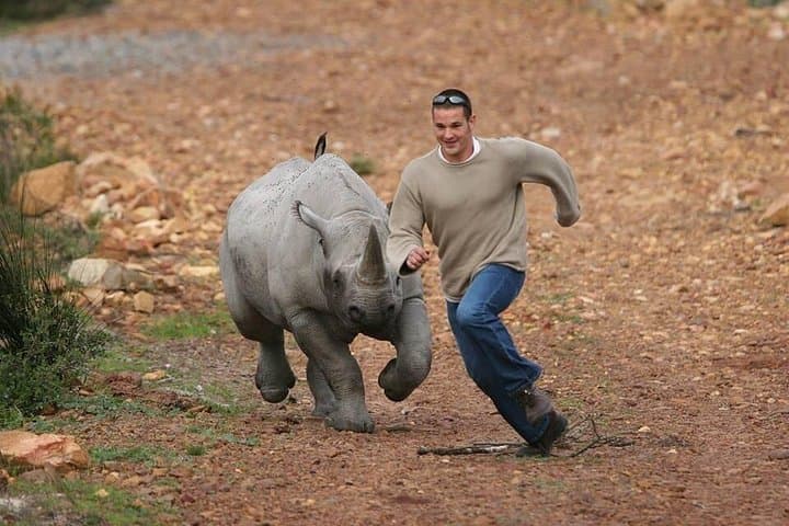 Cape Town to Kruger: 9-Day Private Safari and Coastal Highlights photo 1