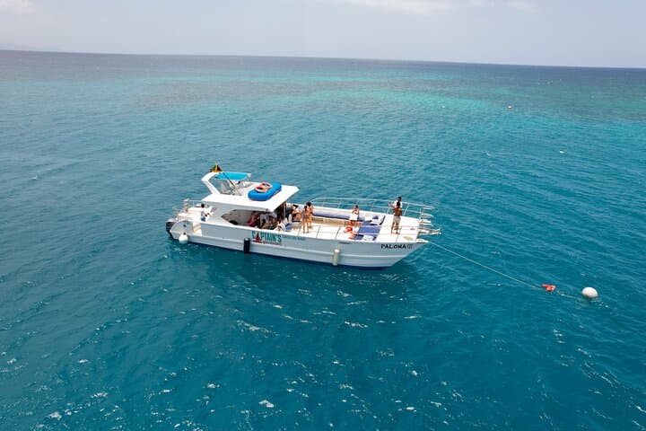 Private Montego Bay Snorkel Charter with Open Bar — 3-Hour Coastal Cruise photo 5