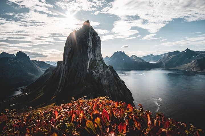 Feel Senja: Scenic One-Day Island Drive, Easy Hikes & Local Snacks on Senja photo 3