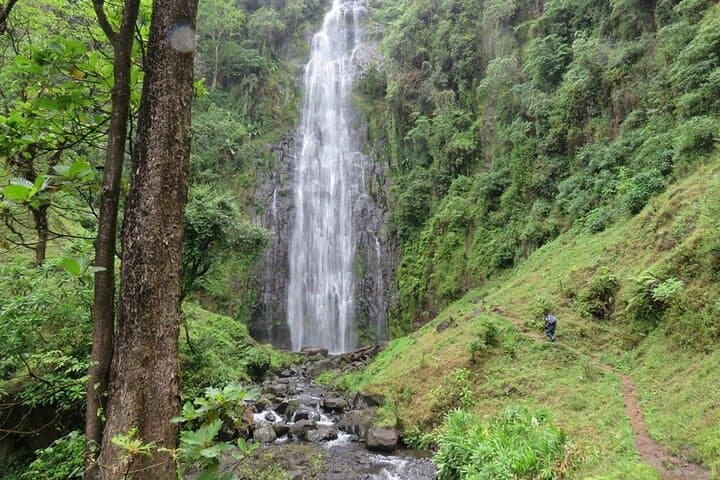 Materuni Falls and Chemka Hot Springs: Day Trek and Spring Swim Near Moshi