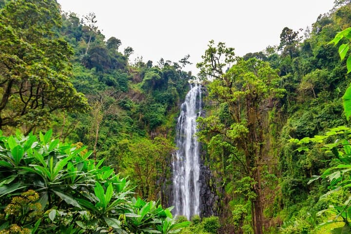 Materuni Falls and Chemka Hot Springs: Day Trek and Spring Swim Near Moshi photo 3