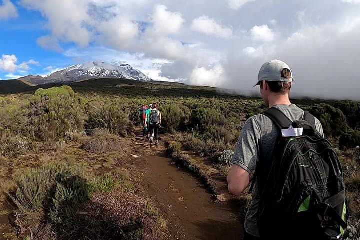 Marangu Day Hike to Kilimanjaro Base: Culture, Forest Trails & Views
