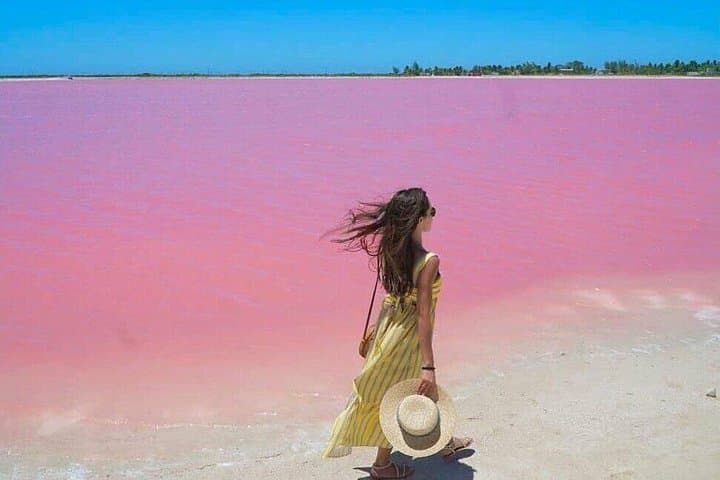 Las Coloradas Pink Lakes & Río Lagartos Wildlife Day Tour photo 2