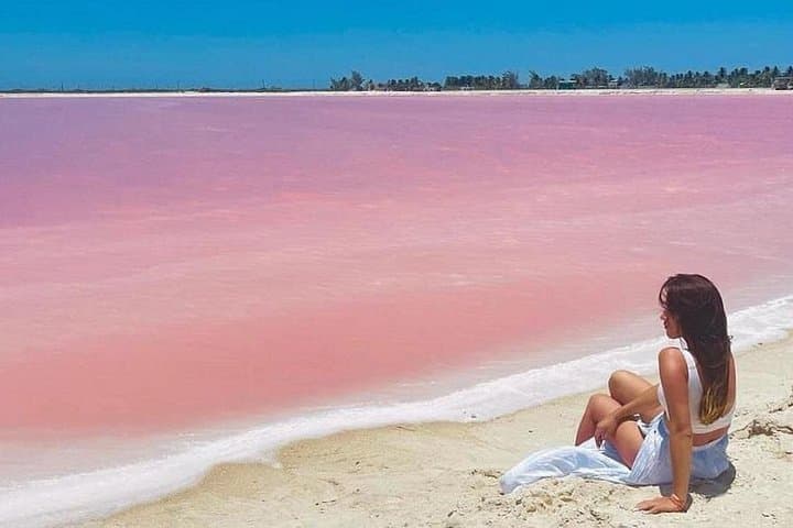 Las Coloradas Pink Lakes & Río Lagartos Wildlife Day Tour photo 1