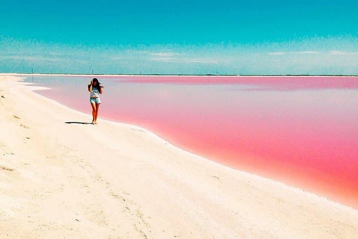 Las Coloradas Pink Lakes & Río Lagartos Wildlife Day Tour photo 3