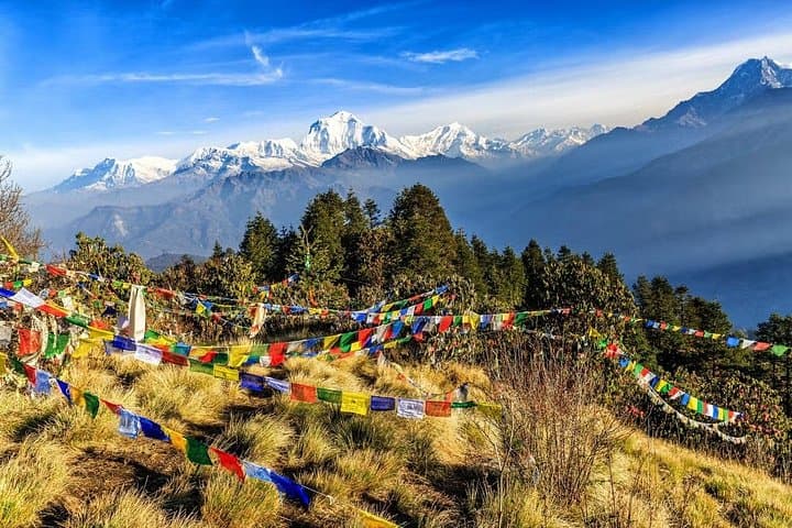 Shortest Poonhill Trek from Kathmandu — 4-Day Ghorepani Poon Hill Sunrise Hike photo 4