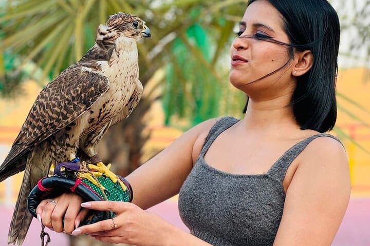 Morning Desert Safari in Dubai: Camel Riding, Dune Bashing & Sandboarding photo 5