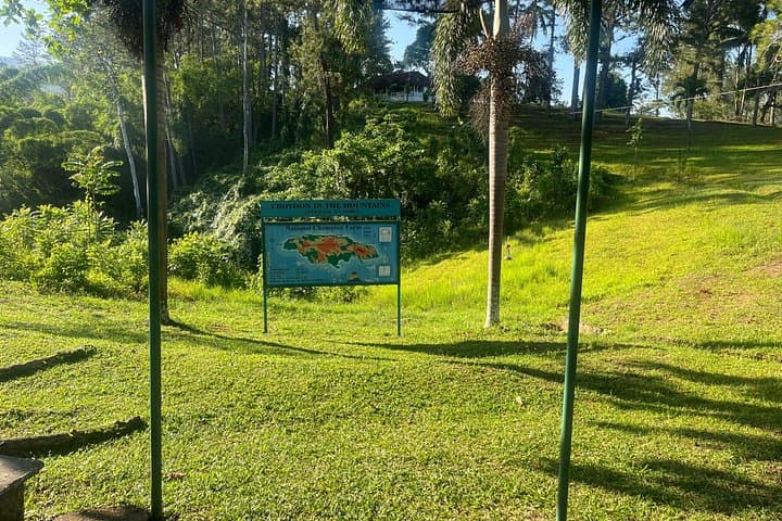 Private Montego Bay Transfers and Adventure Tours — Dunn's River, Cockpit Country & River Rafting photo 3
