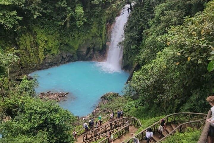 Rio Celeste Waterfall & Sloth Safari: Tenorio National Park Day Tour