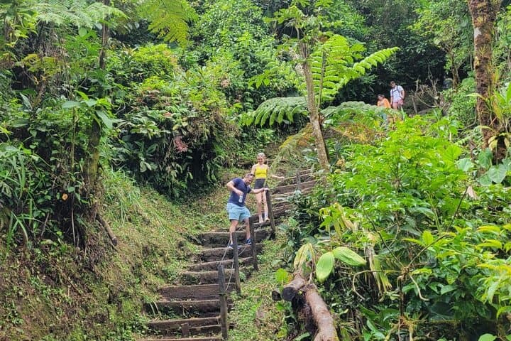 Rio Celeste Waterfall & Sloth Safari: Tenorio National Park Day Tour photo 2
