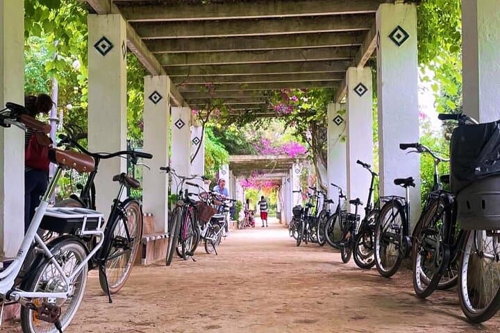 Seville E‑Bike Panoramic Tour: Small‑Group City Ride Through Andalusia photo 4